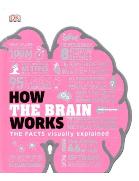 How the Brain Works