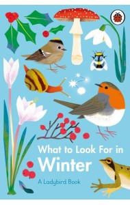 What to Look For in Winter