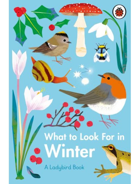 What to Look For in Winter