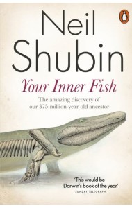 Your Inner Fish