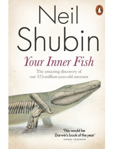 Your Inner Fish