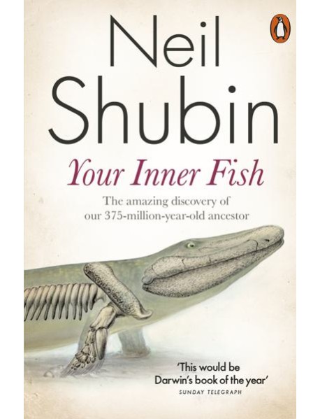 Your Inner Fish