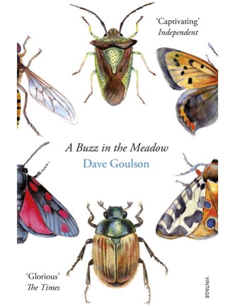 A Buzz in the Meadow