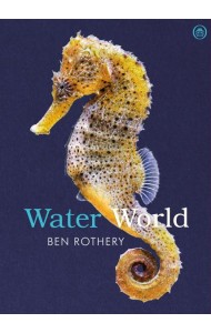 Water World