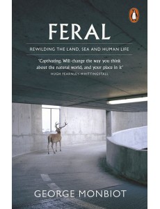 Feral