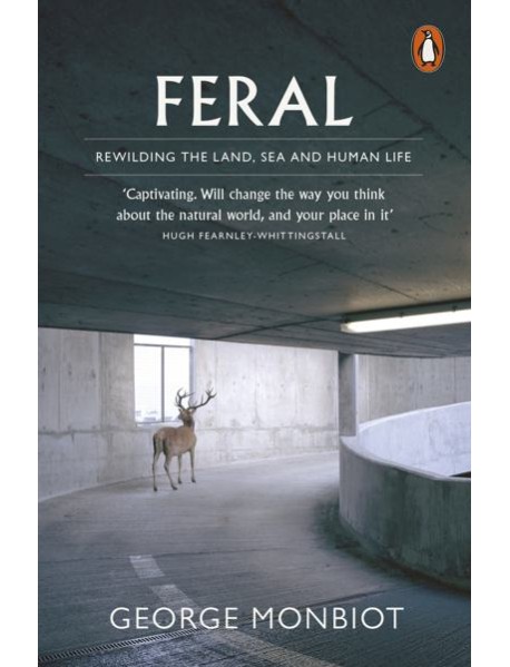 Feral