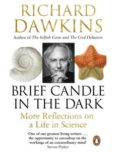 Brief Candle in the Dark