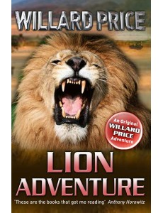 Lion Adventure