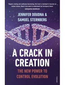 A Crack in Creation