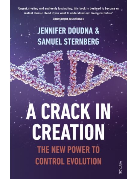 A Crack in Creation