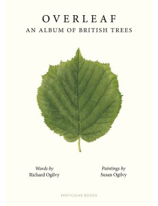 Overleaf Overleaf