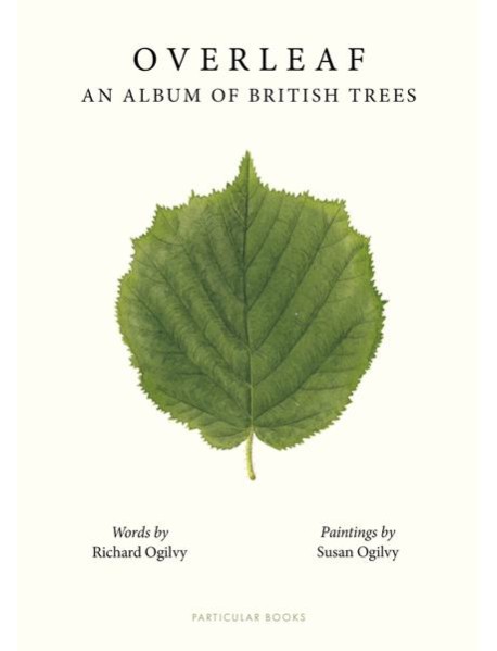 Overleaf