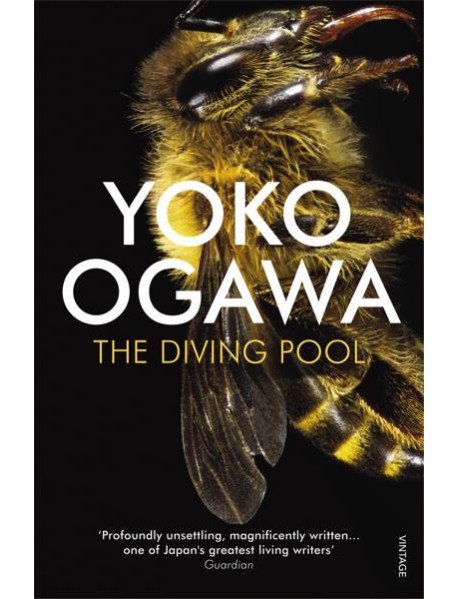 The Diving Pool