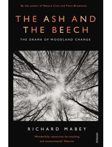The Ash and The Beech
