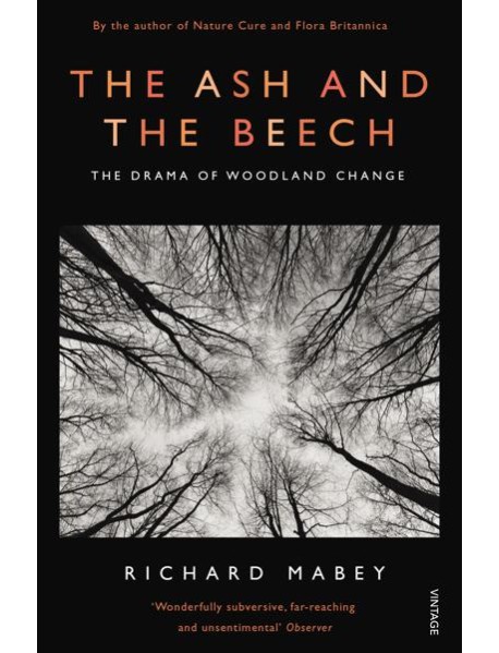 The Ash and The Beech