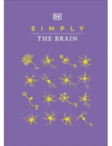 Simply The Brain Simply The Brain