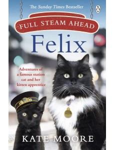 Full Steam Ahead Felix