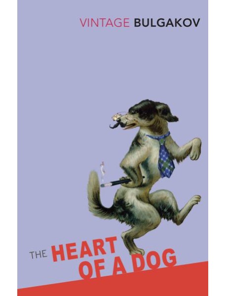 The Heart Of A Dog