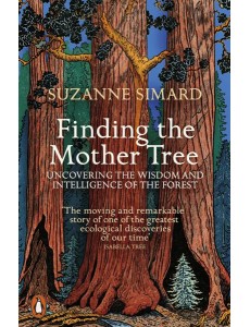 Finding the Mother Tree