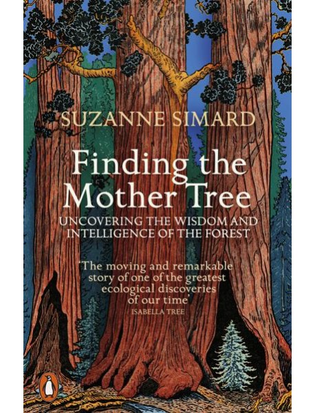 Finding the Mother Tree