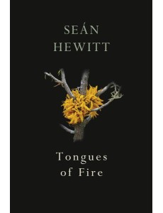 Tongues of Fire