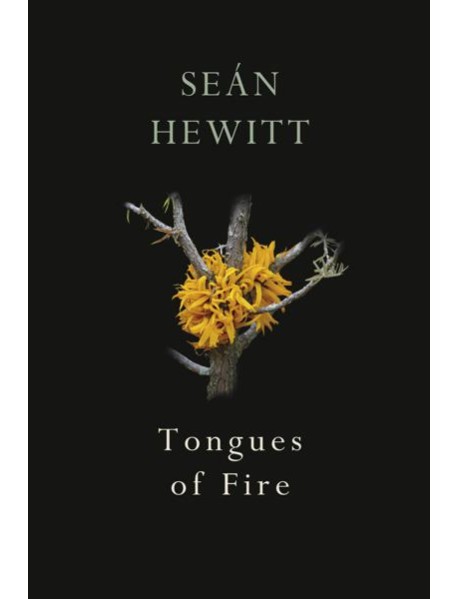 Tongues of Fire