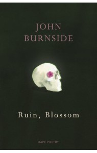 Ruin Blossom