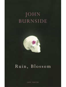Ruin Blossom