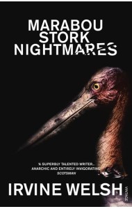 Marabou Stork Nightmares