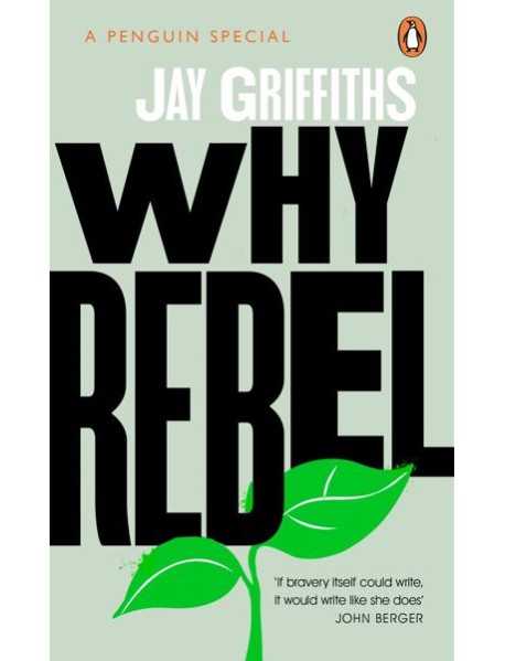 Why Rebel
