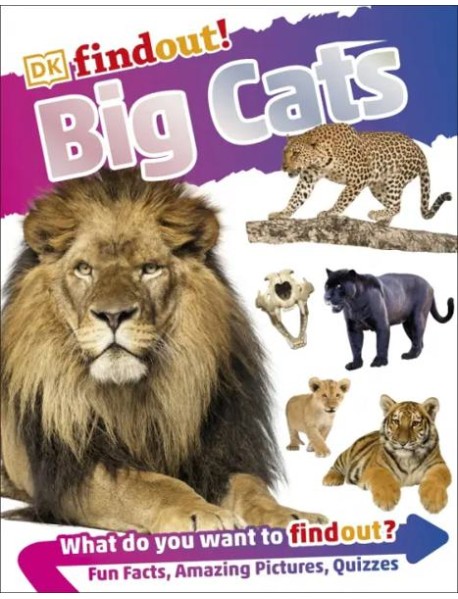 DKfindout Big Cats