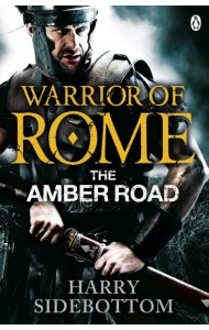 Warrior of Rome VI The Amber Road