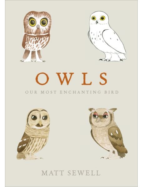 Owls