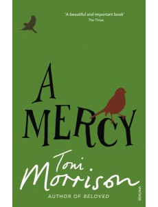 A Mercy