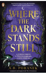 Where the Dark Stands Still