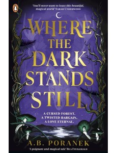 Where the Dark Stands Still