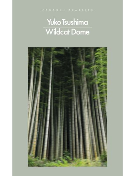 Wildcat Dome