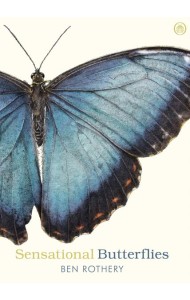 Sensational Butterflies