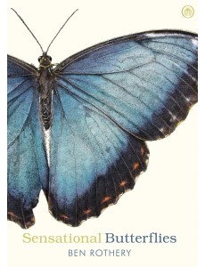 Sensational Butterflies Sensational Butterflies