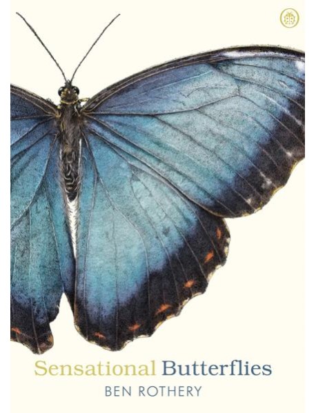 Sensational Butterflies