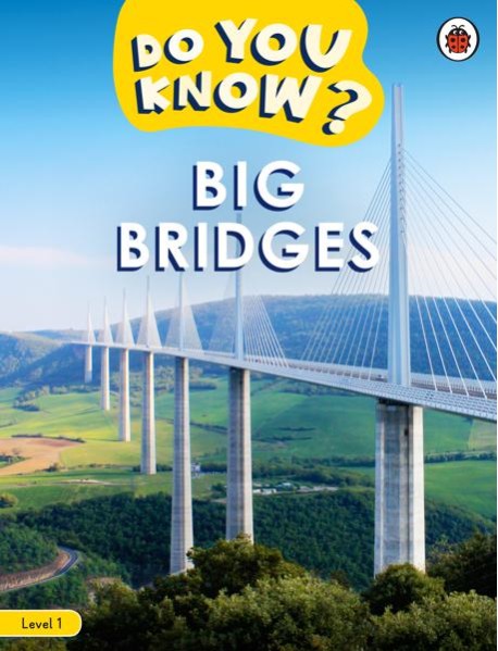 Do You Know Level 1 Big Bridges