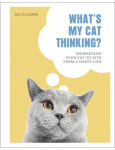 Whats My Cat Thinking Whats My Cat Thinking
