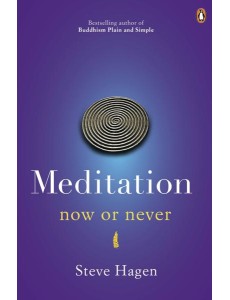 Meditation Now or Never
