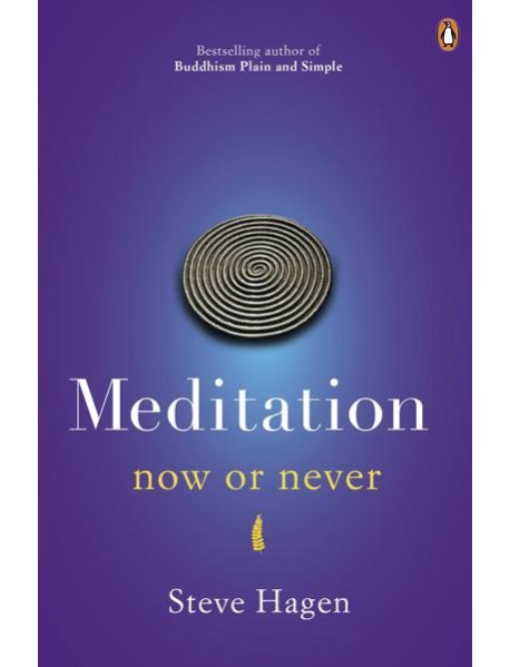 Meditation Now or Never