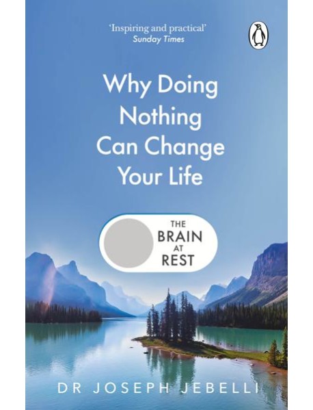 The Brain at Rest