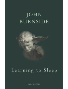 Learning to Sleep Learning to Sleep