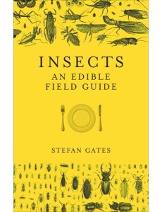 Insects Insects
