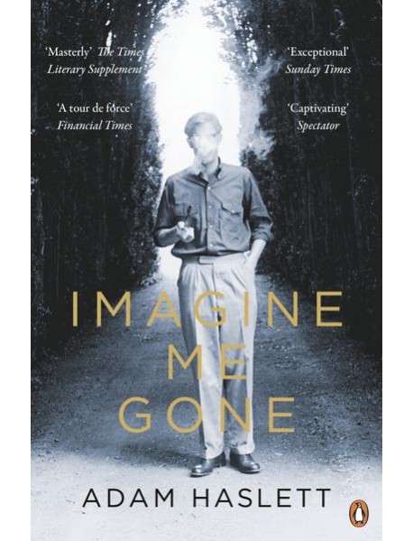Imagine Me Gone