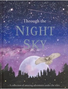 Through the Night Sky Through the Night Sky