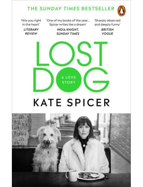 Lost Dog